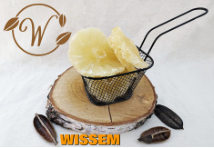 notenshop_wissem-ananas