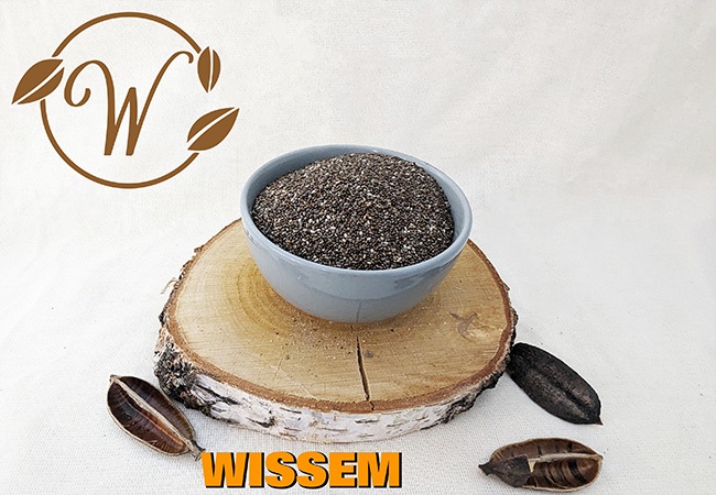 notenshop_wissem-chiazaad