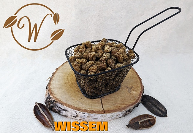 notenshop_wissem-moerbeien