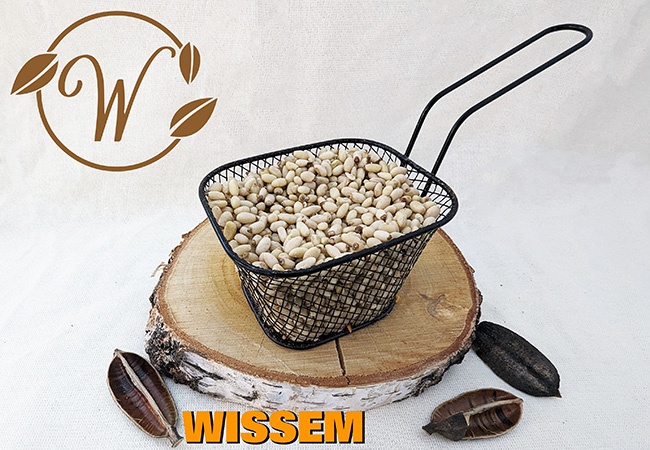 notenshop_wissem-pijnboompitten