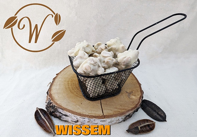 notenshop_wissem-pindarotsjes-witte-chocolade