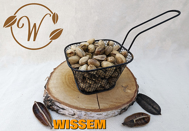 notenshop_wissem-pistachnoten-gebrand-gezout_1116137137